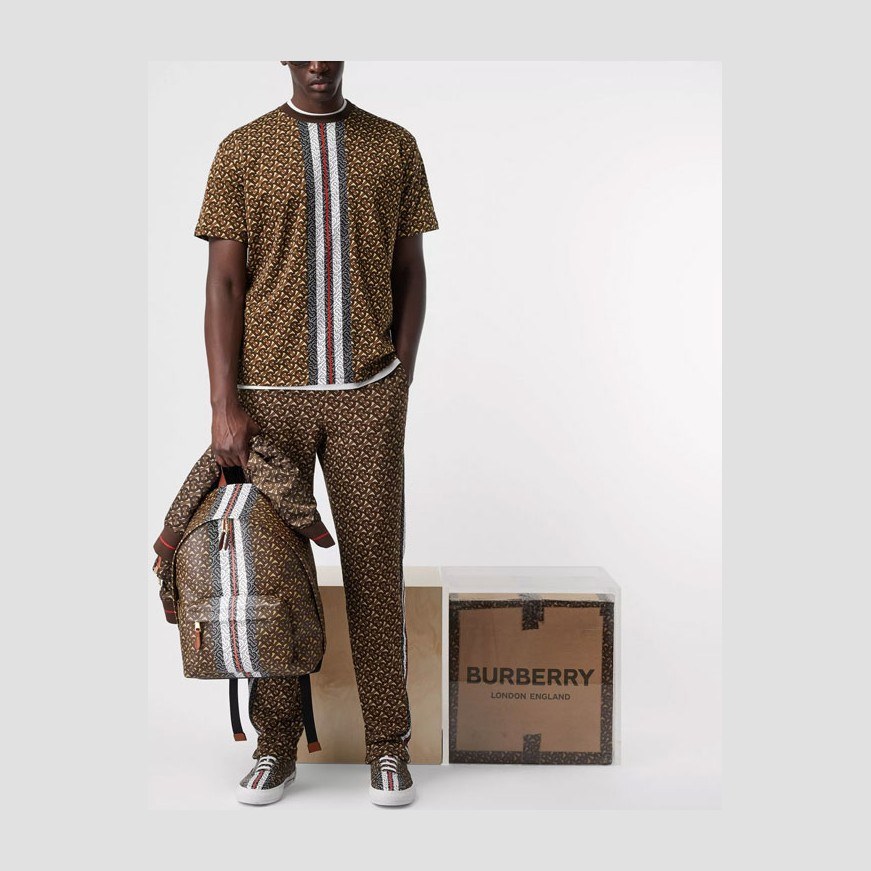 Burberry Striped Crewneck T-Shirt Saddle Brown