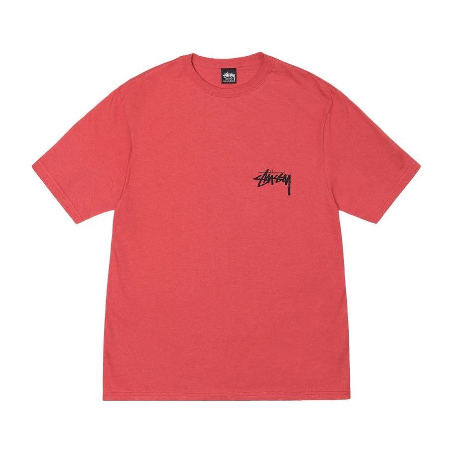 Stussy FW23 FLOWER BOMB TEE T