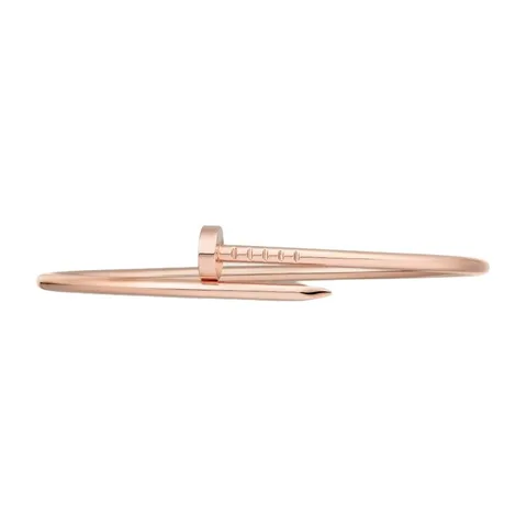 Cartier Juste un Clou