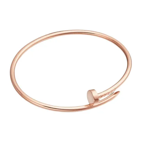 Cartier Juste un Clou
