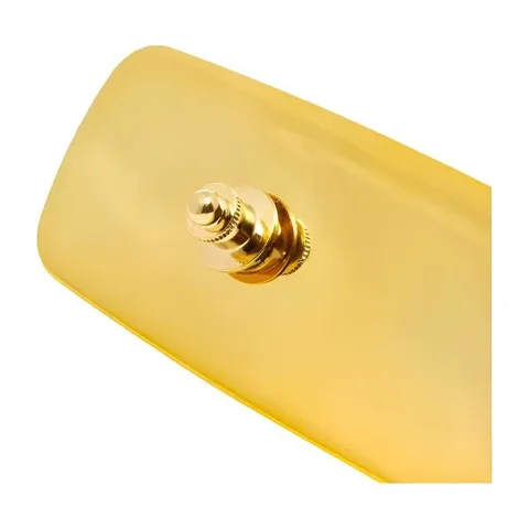 AMBUSH Accessories Gold