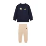 adidas Sportswear FW24 CREW TRACKSUIT