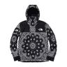 Supreme x The North Face