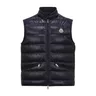Moncler GUI